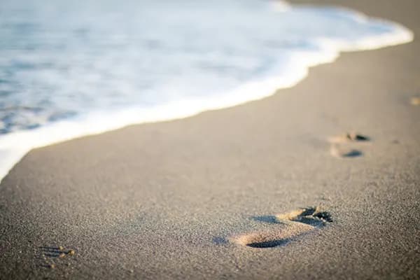 Aparthotel Royal